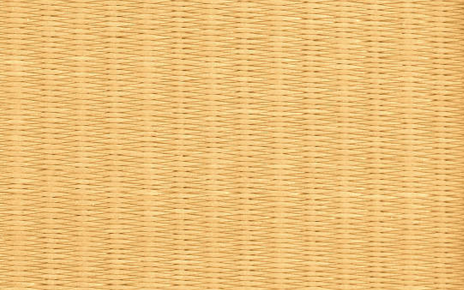和紙畳 | 畳のミカタ.com